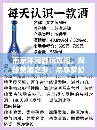 南京洋河游玩攻略,探秘美酒之乡,尽享梦幻之旅!