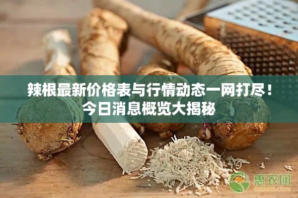 辣根最新价格表与行情动态一网打尽!今日消息概览大揭秘