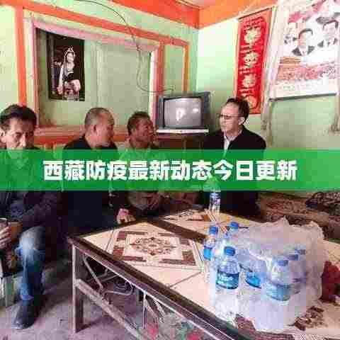 西藏防疫最新动态今日更新