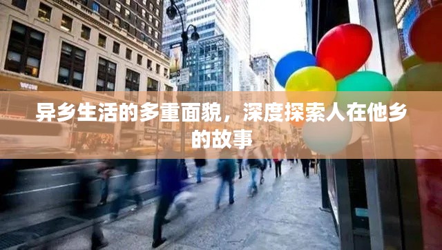 异乡生活的多重面貌,深度探索人在他乡的故事