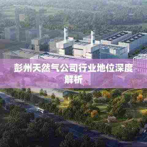 彭州天然气公司行业地位深度解析