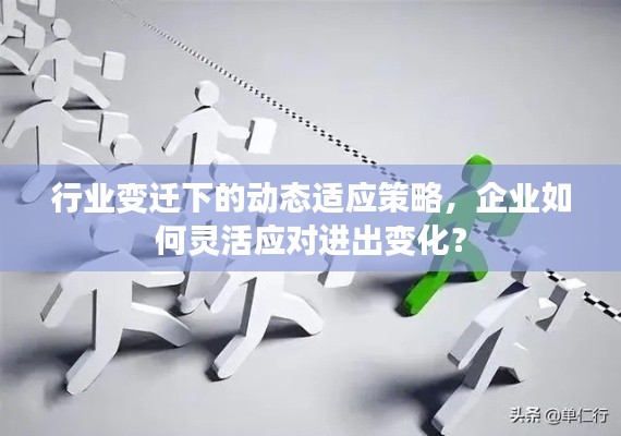 行业变迁下的动态适应策略，企业如何灵活应对进出变化？