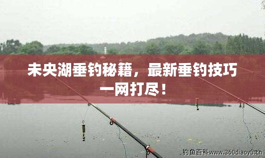未央湖垂钓秘籍，最新垂钓技巧一网打尽！