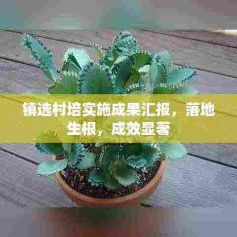 镇选村培实施成果汇报，落地生根，成效显著