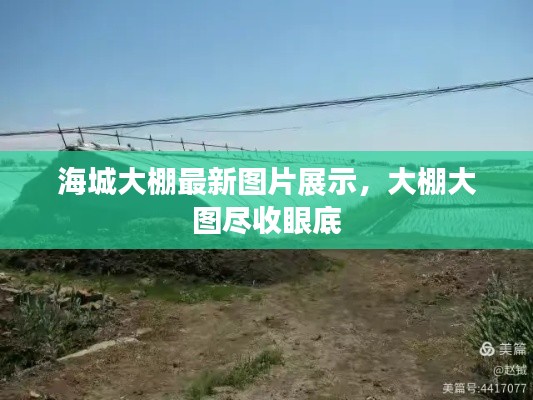 海城大棚最新图片展示,大棚大图尽收眼底
