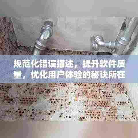 规范化错误描述,提升软件质量,优化用户体验的秘诀所在