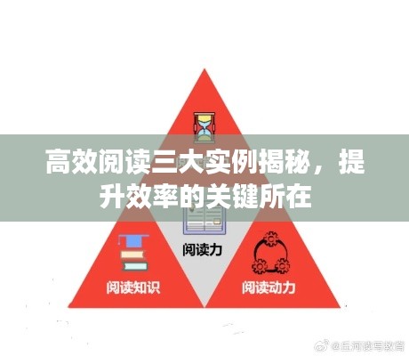 高效阅读三大实例揭秘,提升效率的关键所在