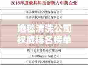 地毯清洗公司权威排名榜单揭晓,行业佼佼者深度解析!