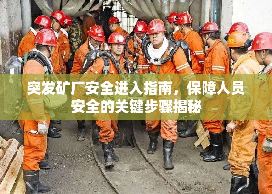 突发矿厂安全进入指南，保障人员安全的关键步骤揭秘