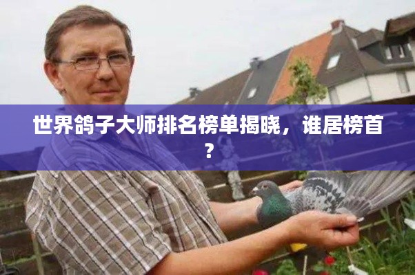 世界鸽子大师排名榜单揭晓,谁居榜首?
