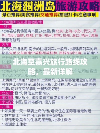 张皇铺饰 第3页