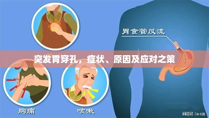 突发胃穿孔，症状、原因及应对之策