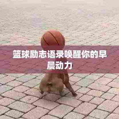 篮球励志语录唤醒你的早晨动力