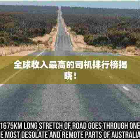 全球收入最高的司机排行榜揭晓!