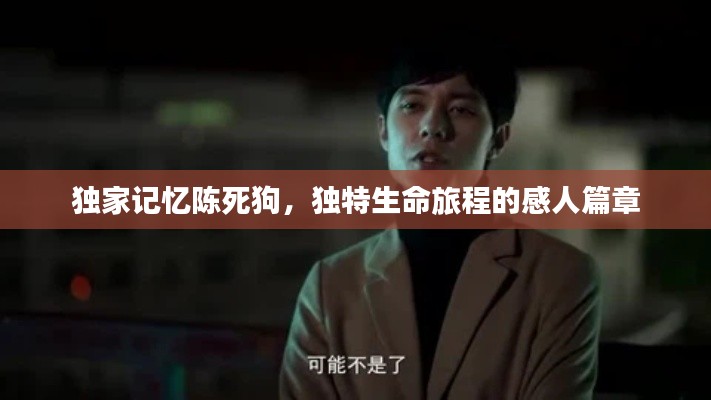 独家记忆陈死狗，独特生命旅程的感人篇章