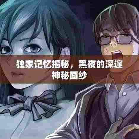 独家记忆揭秘,黑夜的深邃神秘面纱